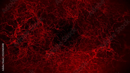 3D loop animation of human blood vessel. Red capillaries. Eye blood on black background. Anatomical background. Medical concept.