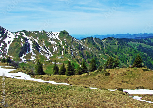 Alpine pastures and meadows in the Thur River valley and in the Obertoggenburg region, Nesslau - Canton of St. Gallen, Switzerland photo