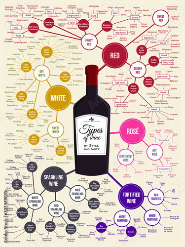 Infoghaphic poster about types of wines