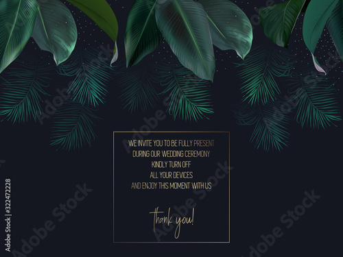 Tropical elegant frame arranged from exotic emerald leaves.