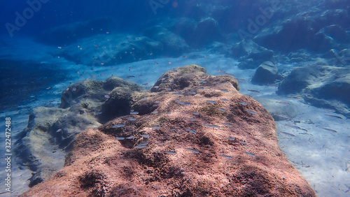 Greece Crete island South Crete Orthi Ammos beach photo