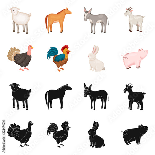 Vector design of breeding and kitchen sign. Set of breeding and organic stock symbol for web.