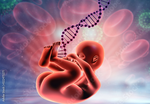 Fetus with dna on medical background. 3d illustration.. photo