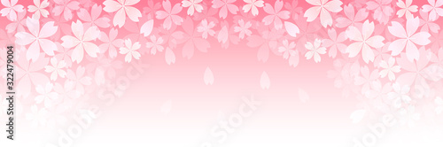桜　春　花　背景