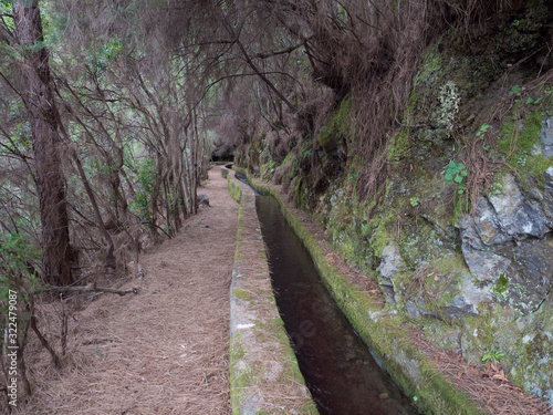 Path along levada, water duct at mysterious Laurel forest Laurisilva, lush subtropical rainforest at hiking trail Los Tilos, La Palma, Canary Islands, Spain
