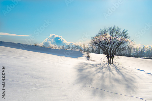 雪影の丘