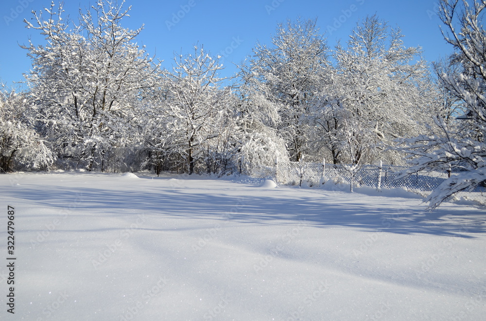 Beautiful winter landscape.Trees covered with hoarfrost and snow Beautiful winter landscape.Trees covered with hoarfrost and snow