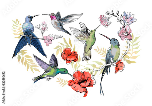 Set of hand drawn Hummingbirds with flowers for your design, greeting cards, posters. Collection of sketch colibri, watercolor floral print isolated on white background. Vector realistic illustration.