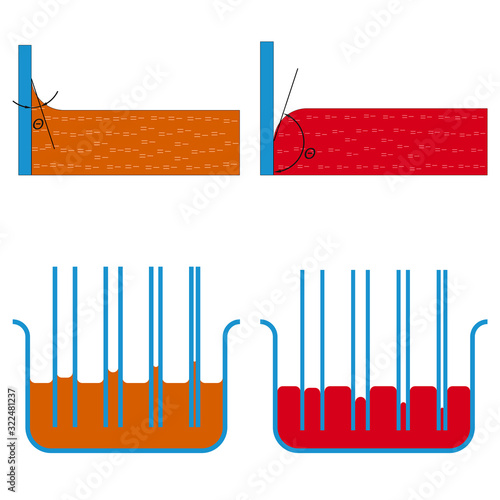 Vector illustration of wetting on the border of liquids with solids
