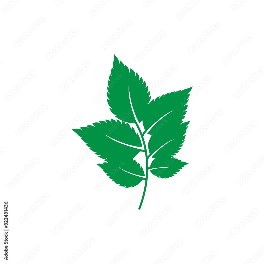 mint leaf logo mint leaf logo