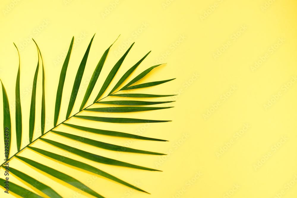 Fototapeta premium Tropical palm leaves on yellow background. Summer concept. Flat lay, top view, copy space