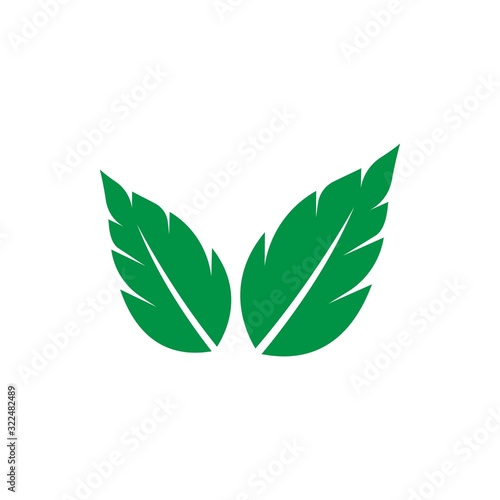 mint leaf logo