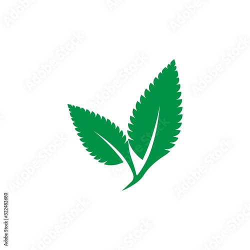 mint leaf logo