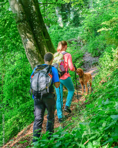Junges Paar mit Hund beim Wandern im felsigen Wald