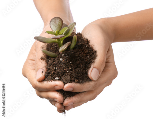 Human hands holding small g...