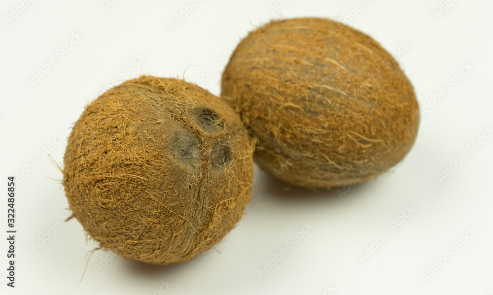 Tropical fruit coconut isolated, background Tropical fruit coconut isolated, background