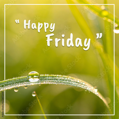 Happy friday words and dew on the grasson, On green background. photo