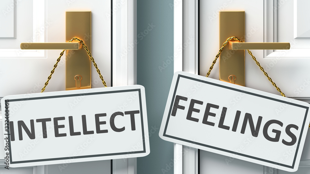 Intellect or feelings as a choice in life - pictured as words Intellect, feelings on doors to show that Intellect and feelings are different options to choose from, 3d illustration - obrazy, fototapety, plakaty 