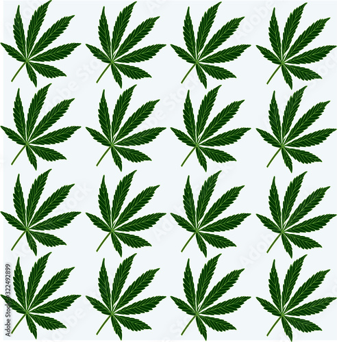photo background of hemp leaves drawn, green on white background