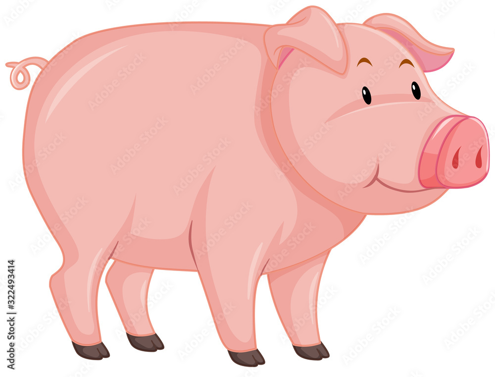 Cute pig with pink skin on white background Cute pig with pink skin on white background