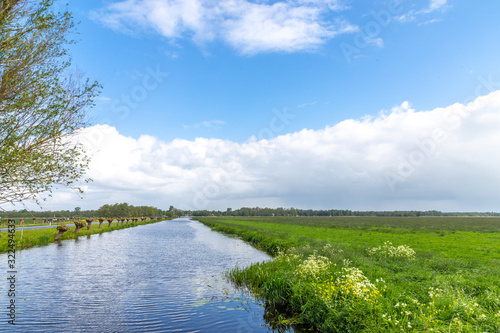 Rural landscape, water canals in the vicinity of Kinderdijk, the Netherlands