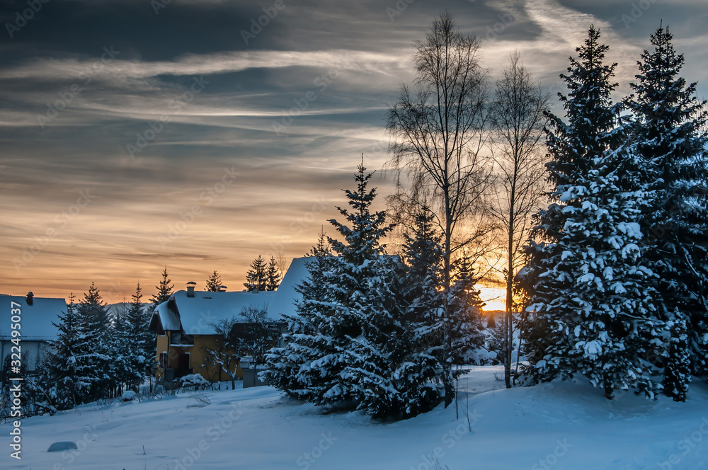Obraz premium Mountain Zlatibor (Serbia), winter sunset