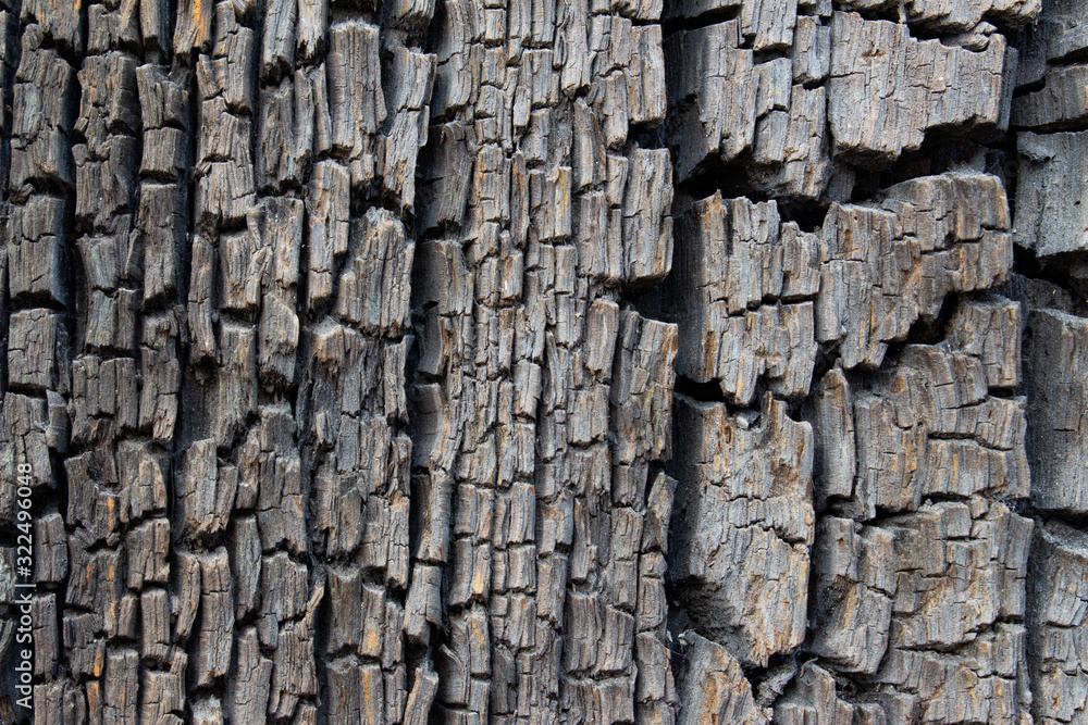 Close up of old ancient cracked wood texture, can be used as Background or Wallpaper Close up of old ancient cracked wood texture, can be used as Background or Wallpaper
