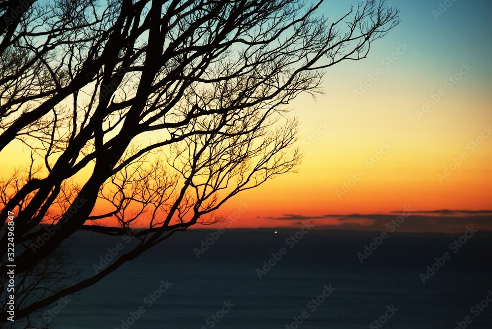 Fototapeta premium Natural beauty background material / Dawn silhouette.