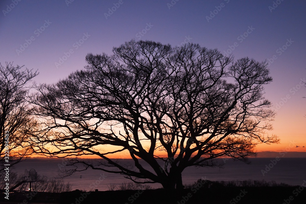 Natural beauty background material / Dawn silhouette.