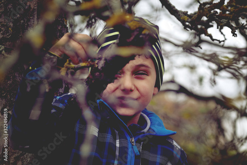 Cute little kid boy enjoying climbing on tree in garden on autumn day.