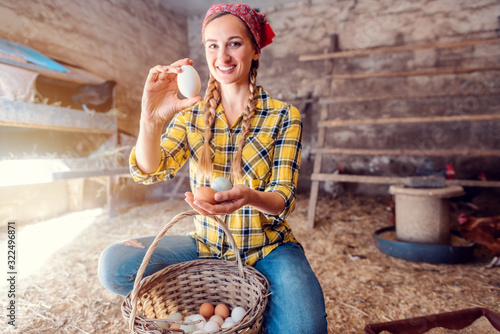 Fototapet Famer woman collecting eggs from her hens in basket