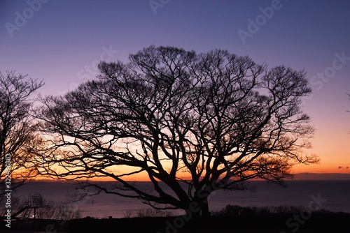 Natural beauty background material   Dawn silhouette.