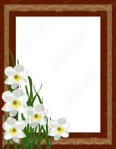 narcissus floweres in brown frame
