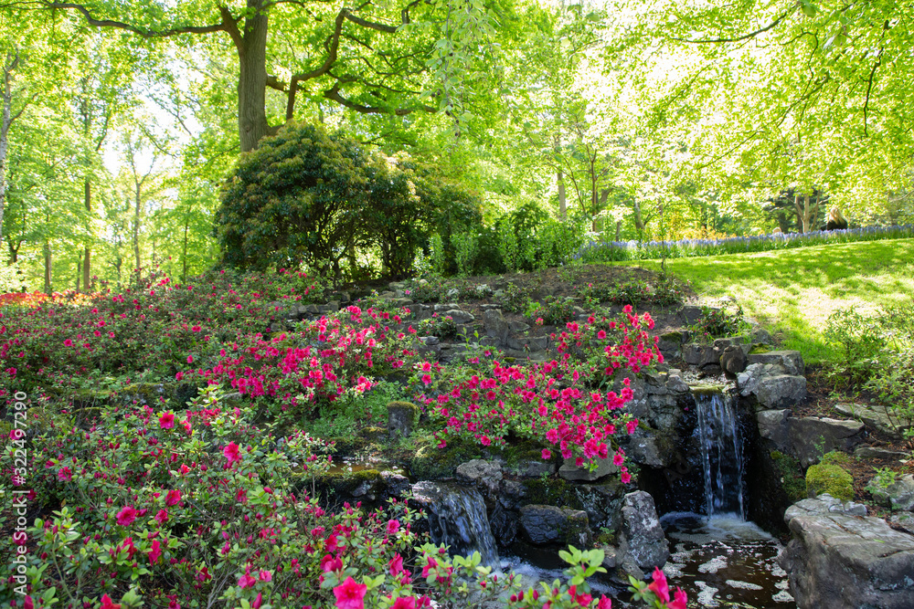 Beautiful landscape. Lisse city (Netherlands). Beautiful landscape. Lisse city (Netherlands).