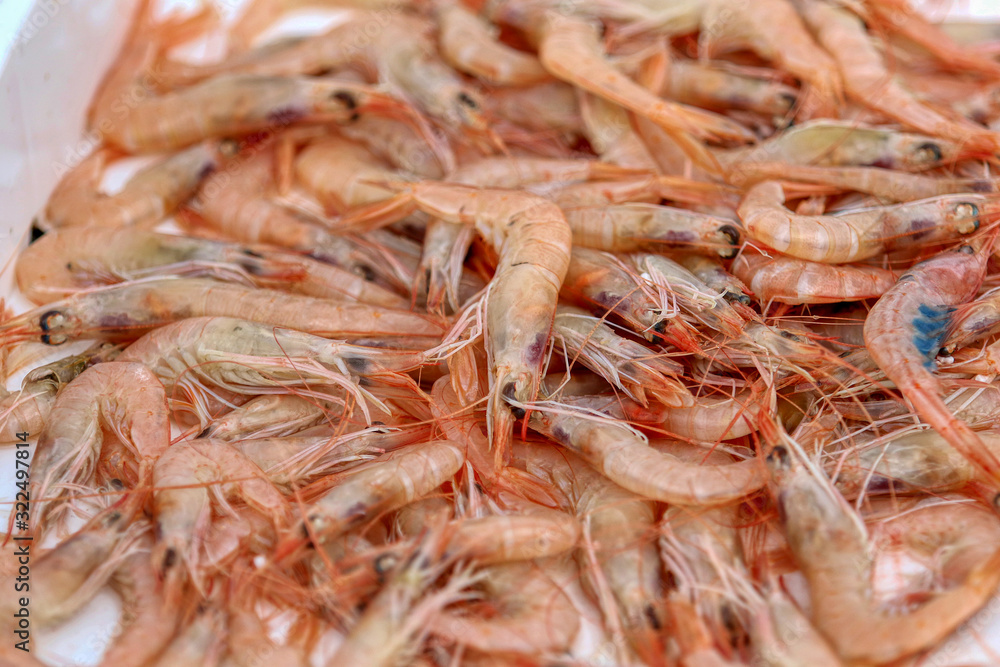 Fresh prawns in fish shop ready to be sold