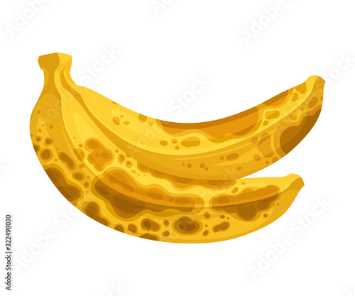Spoiled and Rotten Banana Fruit with Skin Covered with Stinky Rot Vector Illustration