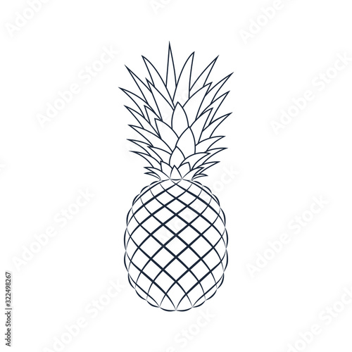 Pineapple graphic linear icon. Tropical fruit symbol. Pineapple sign isolated on white background. Vector Illustration 