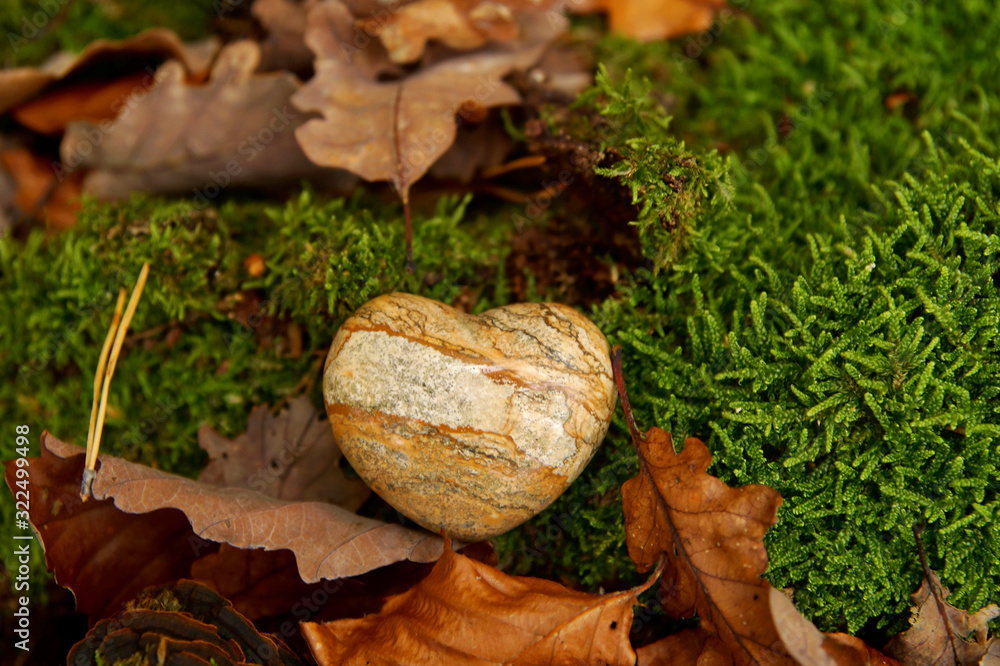 Heart sympathy or stone funeral heart near a tree in autumn. Grave in the forest, Natural burial grave site, showing blank memorial plaque on grass or moss. tree burial and All Saints Day concept. Heart sympathy or stone funeral heart near a tree in autumn. Grave in the forest, Natural burial grave site, showing blank memorial plaque on grass or moss. tree burial and All Saints Day concept.