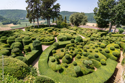 Haie de buis à Marqueyssac