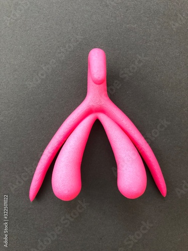 3-D Klitoris pink auf schwarz