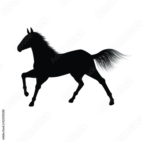 Horse silhouette vector. animal wildlife