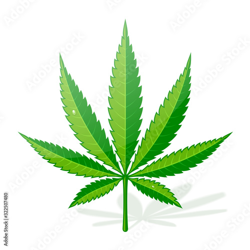 Cannabis Hemp Leaf Flat Icon