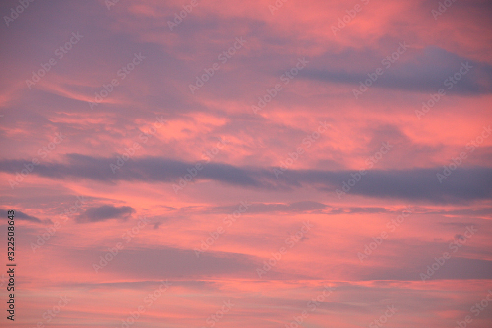 Dreamy evening sky  in pastel tones with fluffy pink clouds at sunset