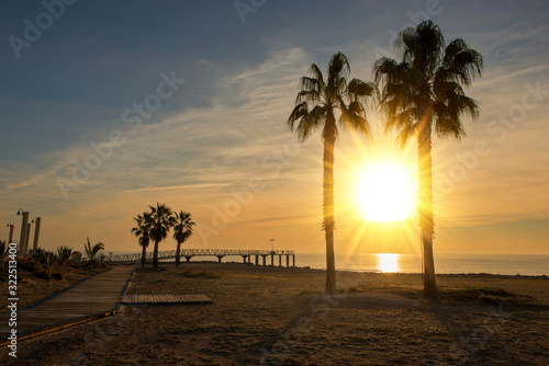 Two palm trees on a beach at sunrise