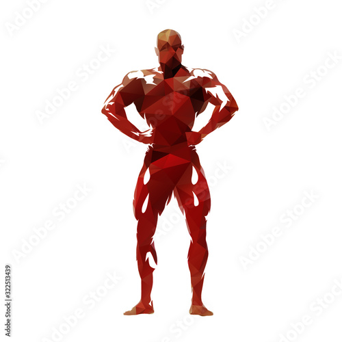 Posing bodybuilder, isolated low polygonal vector illustration, front view