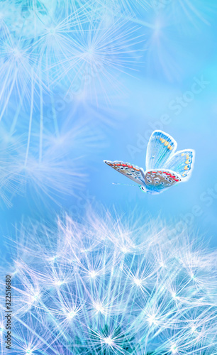 Beautiful dandelion seeds closeup blowing and butterfly on light blue vertica...