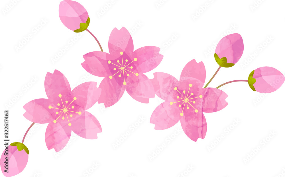 Naklejka premium Sakura