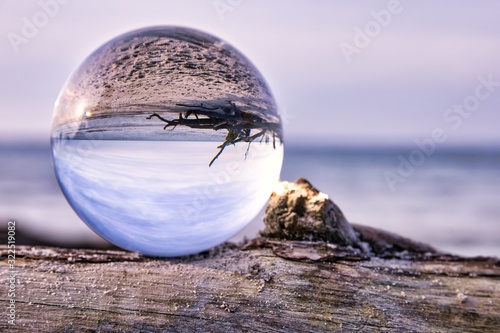 Lensball as the subject on a piece of driftwood during a beautiful sunset at the beach