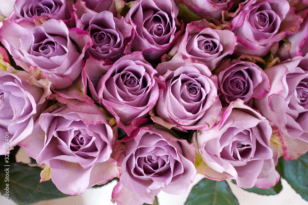 bouquet of pale pink roses bouquet of pale pink roses