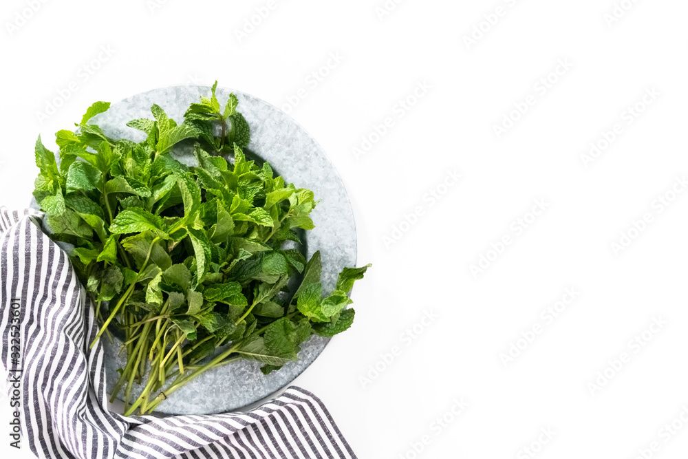 Garden mint Garden mint